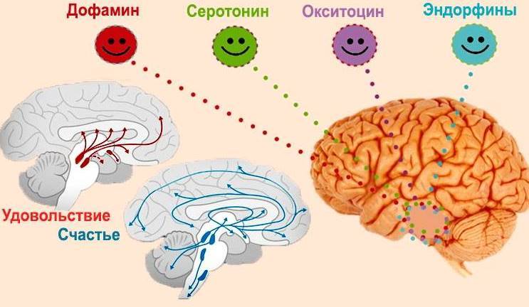 Гипнолог - гипноз Минск - Россия - ОАЭ - Таиланд